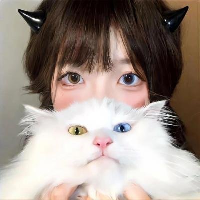 鞋猫剑客：三小恶猫