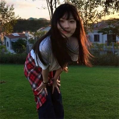 完美计划
